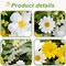 Artificial Spring Wreath 22 Inch Spring Wreaths for Front Door Summer Wreath with White Yellow Daisy